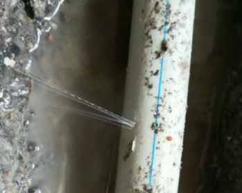 文圣卫生间测漏水多少钱